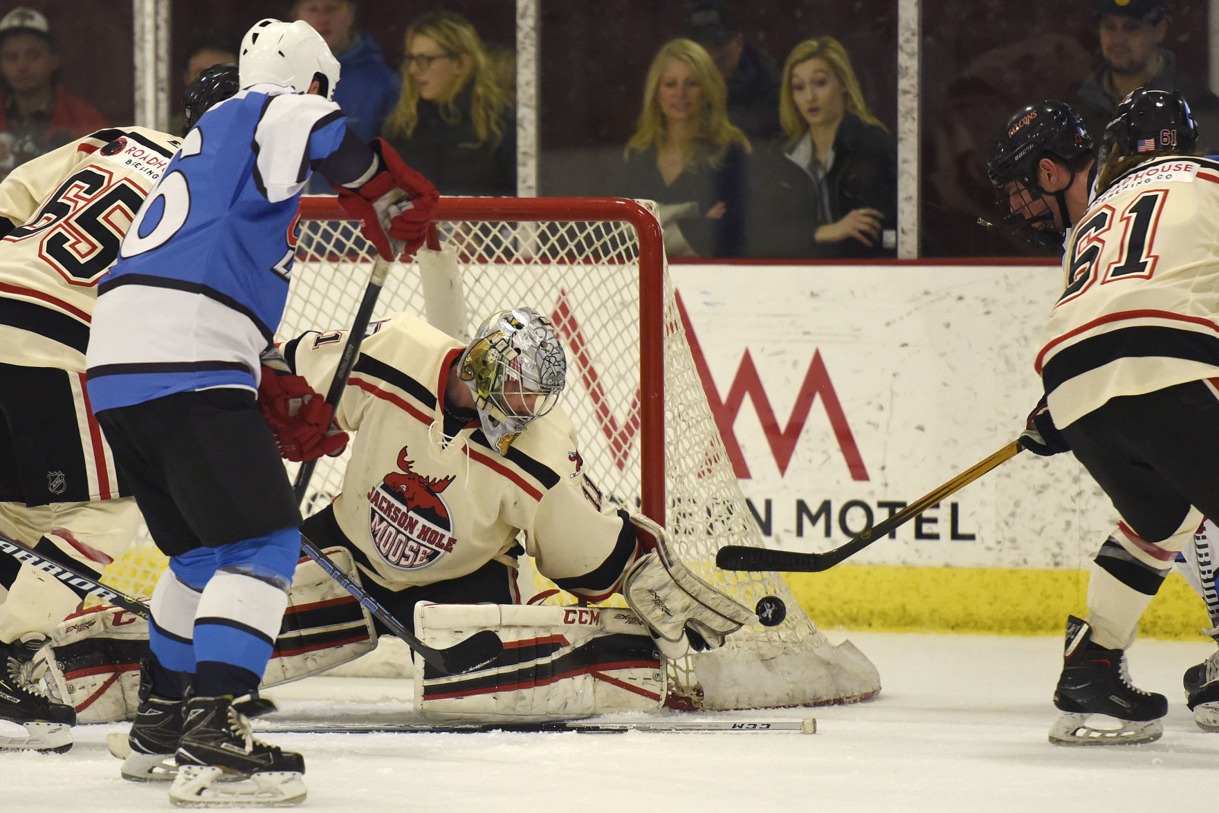 Jackson Hole Moose hockey